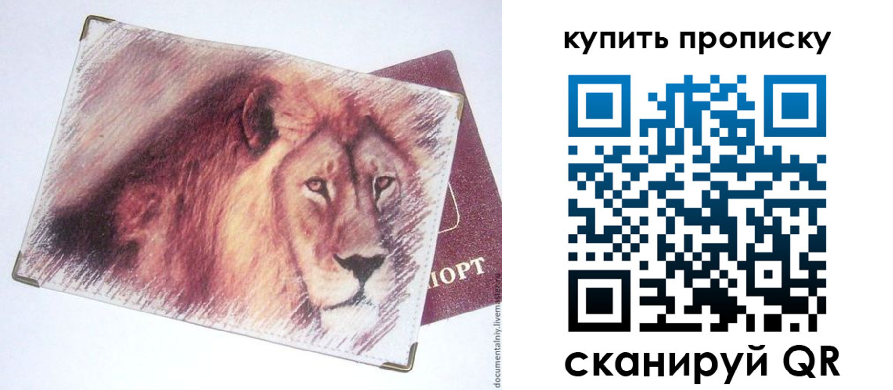 прописка паспорт в Кубинке